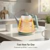 imageHazel Quinn Electric Kettle  1L34oz Small Tea Kettle 800W Fast Boil All 304 Stainless Steel Interior Double Wall for Cool Touch and Thermal Auto ShutOff BPAFree Cordless  Mint GreenMint Green