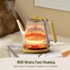imageHazel Quinn Electric Kettle  1L34oz Small Tea Kettle 800W Fast Boil All 304 Stainless Steel Interior Double Wall for Cool Touch and Thermal Auto ShutOff BPAFree Cordless  Mint GreenFloral Printed